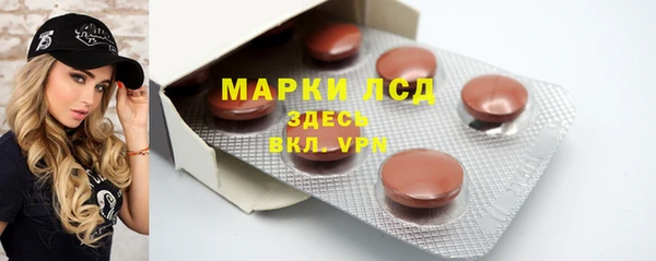 стаф Алексин