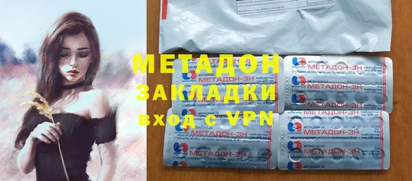 стаф Алексин