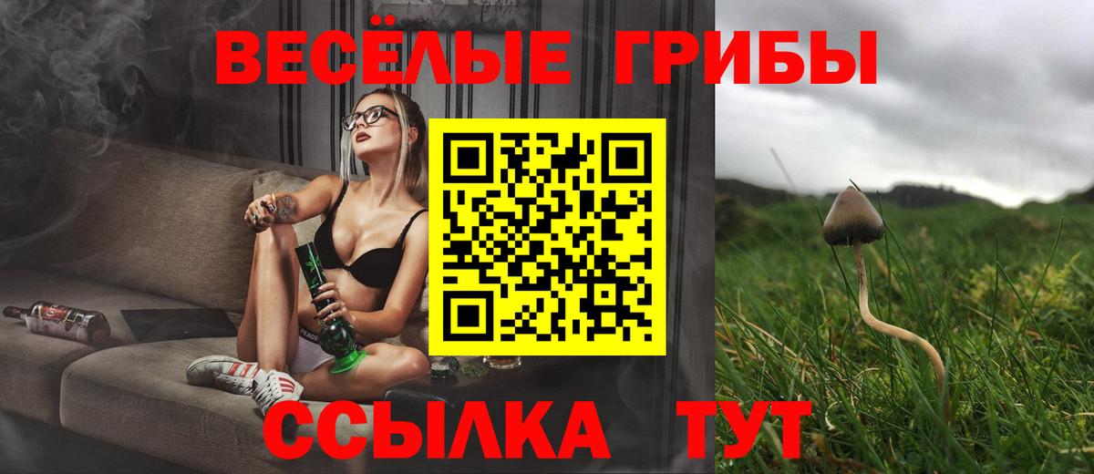 Волжский  Псилоцибиновые грибы Psilocybe  Вход с VPN 