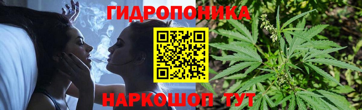 Бошки Шишки OG Kush Волжский